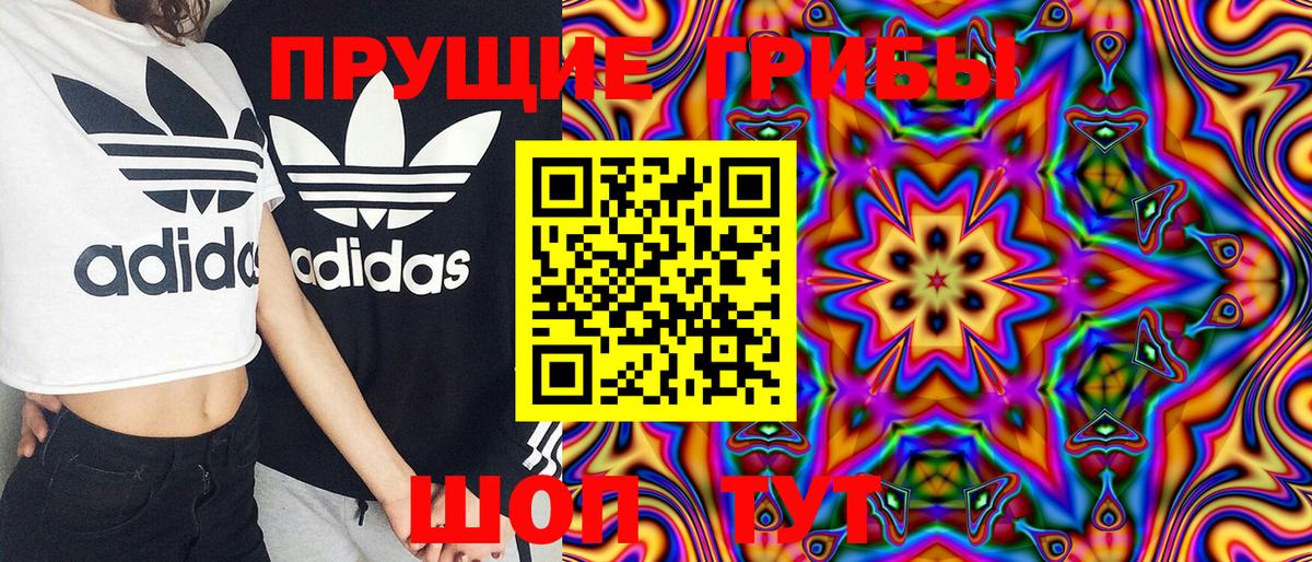 Псилоцибиновые грибы мухоморы  Псилоцибиновые грибы Cubensis  Хабаровск 