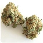 Шишки "White Widow"  (Белая вдова)  Гидропоника -  Бошка VHQ в Хабаровске